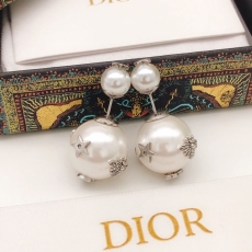 Christian Dior Earrings